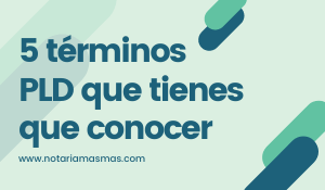 Los 5 términos de lavado de dinero que debes conocer